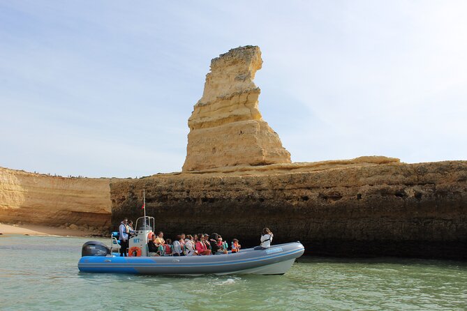 Benagil Caves and Dolphins from Albufeira - Price and Value: Why $42.14 Can Make Sense Here