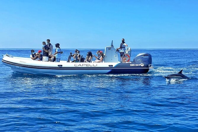 Benagil Caves Visit with Dolphins Watching from Albufeira - Entering The Algarve By Sea, Not Just By Photos