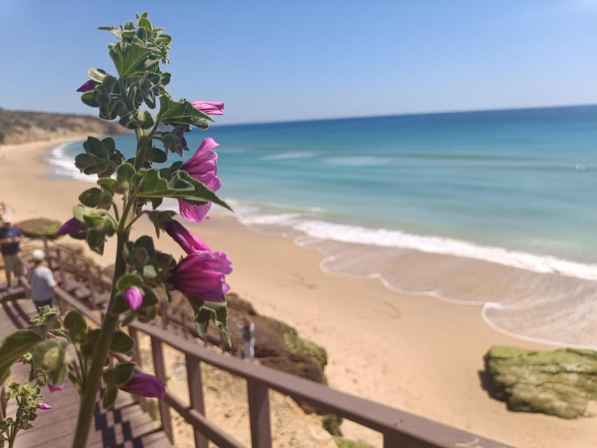 Best Coast Tour - Southwest of Europe - Should You Book Best Coast Tour - Southwest of Europe?