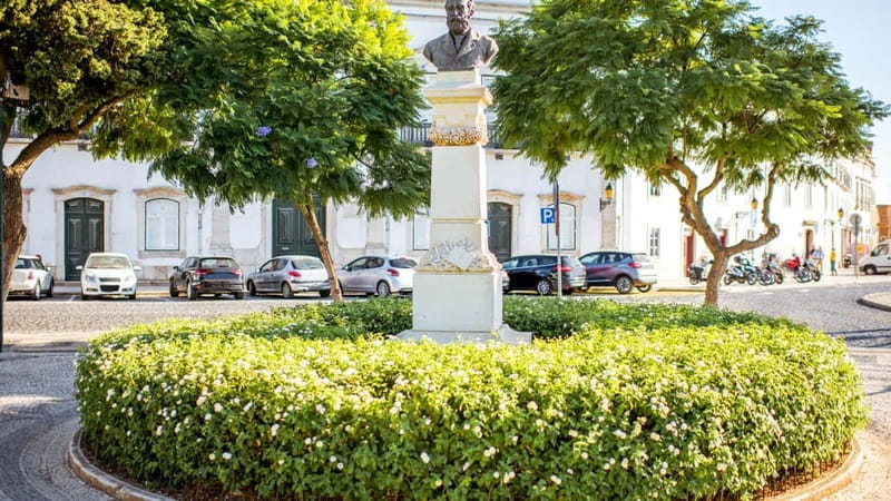 Best of Faro: Private Walking Tour with a Local - Walking comfort and practical planning for 1 to 6 hours in Faro