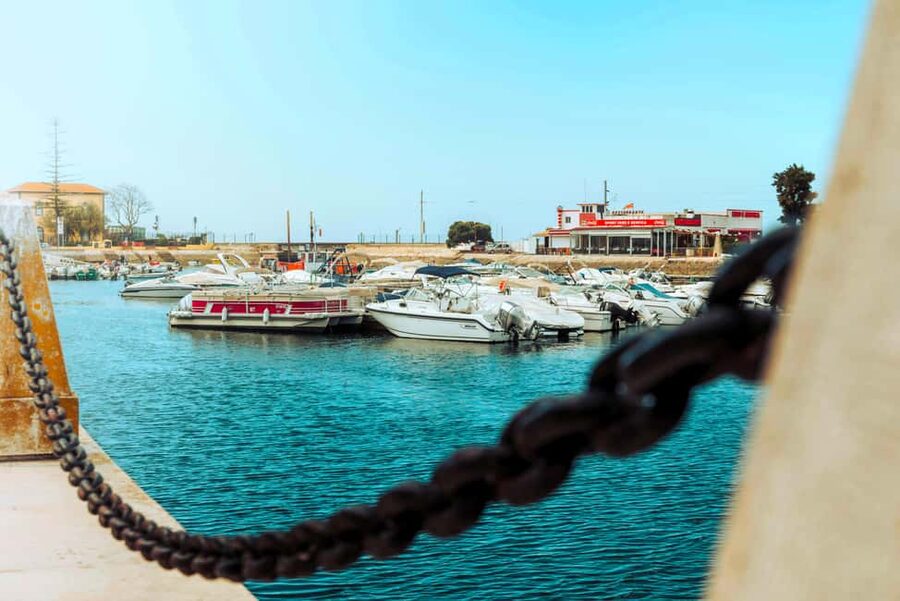 Best of the East: Day Trip to Faro, Olhão, Tavira, & more - Guide and Language Setup: How It Affects Your Walking Time
