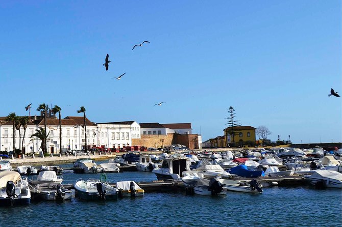 Best of the East: Faro, Olhão, and Tavira - Price and Value: What $64.89 Really Covers