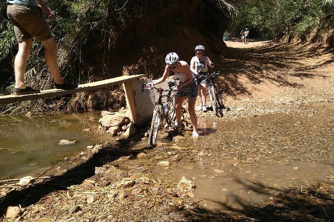 Bike tour Go into Nature - Equine and golf landmarks, plus how the tour avoids feeling touristy