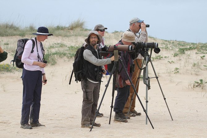 Birdwatching at Abicada and Alvor dunes - Key things that make this birding day worth your time