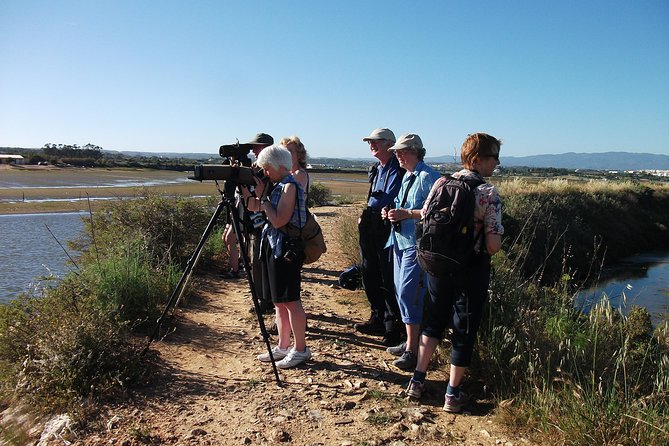 Birdwatching at Ria de Alvor - Key things I’d plan around before you go