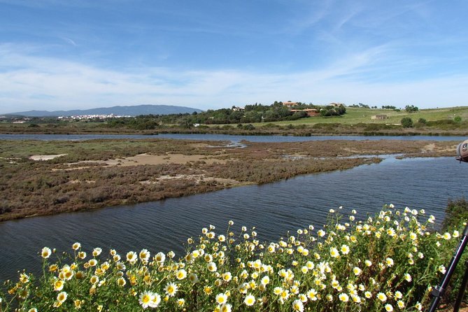 Birdwatching at Ria de Alvor - A 2 to 3 hour walk that stays relaxed and focused