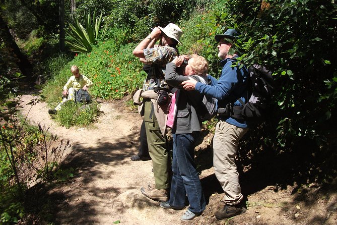Birdwatching day in the Monchique hills - Caldas de Monchique lunch and village time
