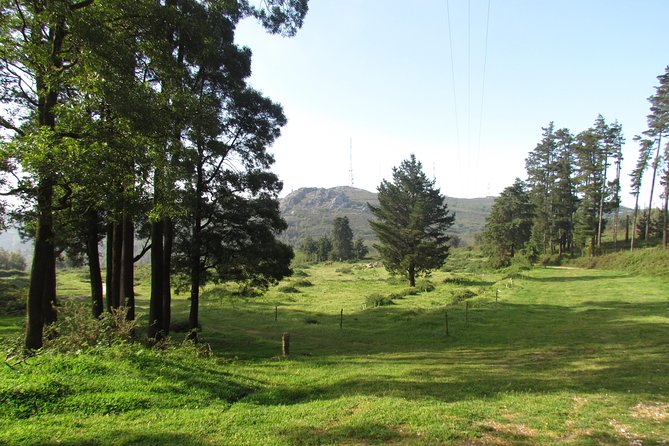 Birdwatching day in the Monchique hills - Guide quality matters, especially in the hills