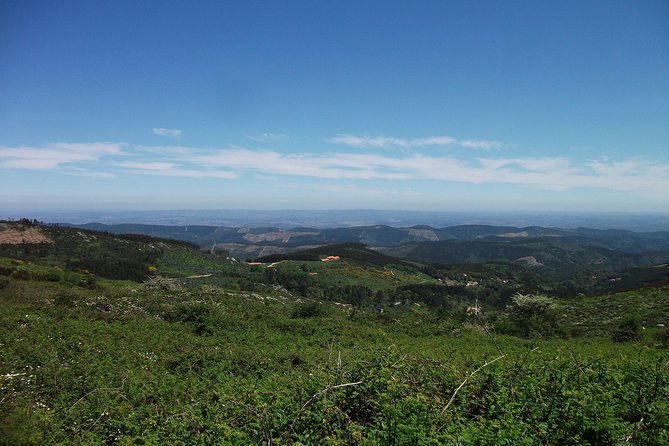Birdwatching day in the Monchique hills - Price and value: is $86.90 a fair deal?