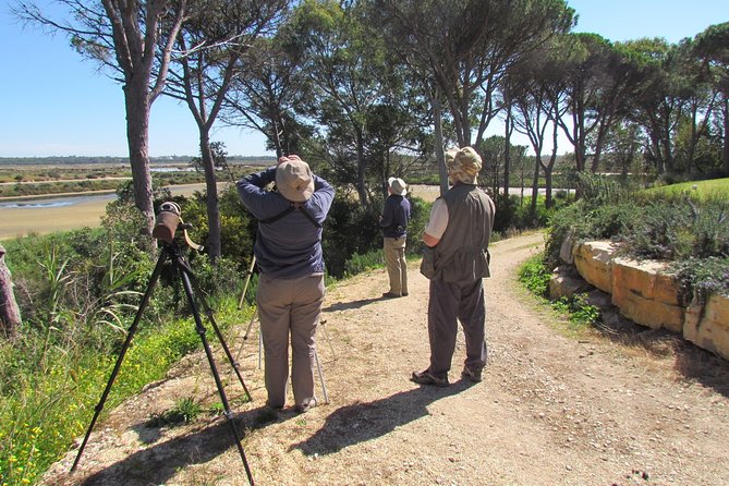 Birdwatching day in the Ria Formosa Natural Park - Morning Logistics: Meeting Point and a 7:00 am Start