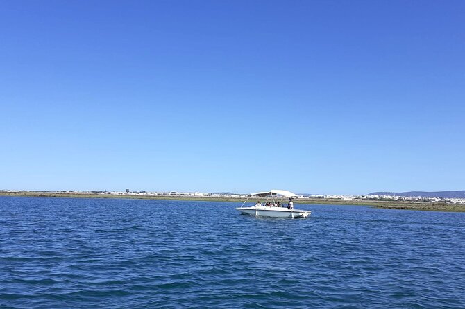Birdwatching in Ria Formosa - Eco Boat Tour from Faro - Entering Faro Marina, then easing out over the lagoon