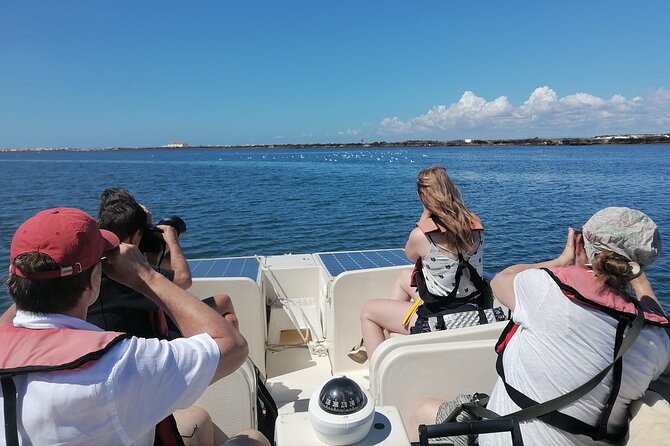 Birdwatching in Ria Formosa - Eco Boat Tour from Faro - What you actually get on board: small group, included gear, live guide talk