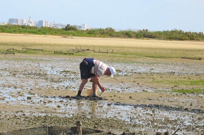 Birdwatching in Ria Formosa - Eco Boat Tour from Faro - When to go, and why tide can change everything