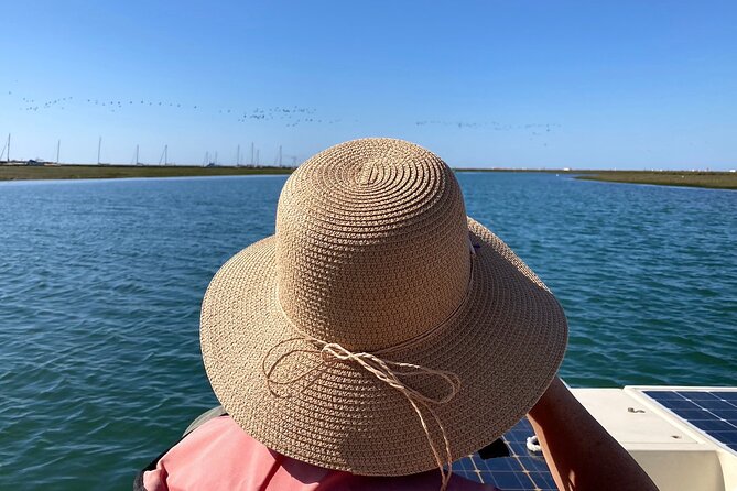 Birdwatching in Ria Formosa - Eco Boat Tour from Faro - Price and value: what $48.27 buys you in practice