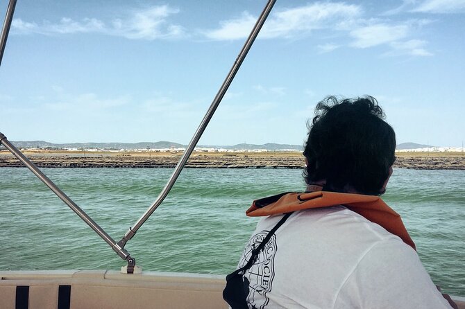 Birdwatching in Ria Formosa - Eco Boat Tour from Faro - Who this tour fits best