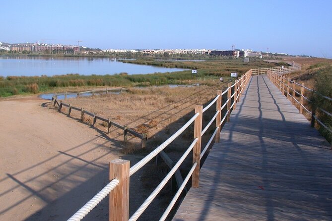 Birdwatching Private Tour at Fascinating Salgados Lagoon - Where the birds show up: walking the Salgados Lagoon