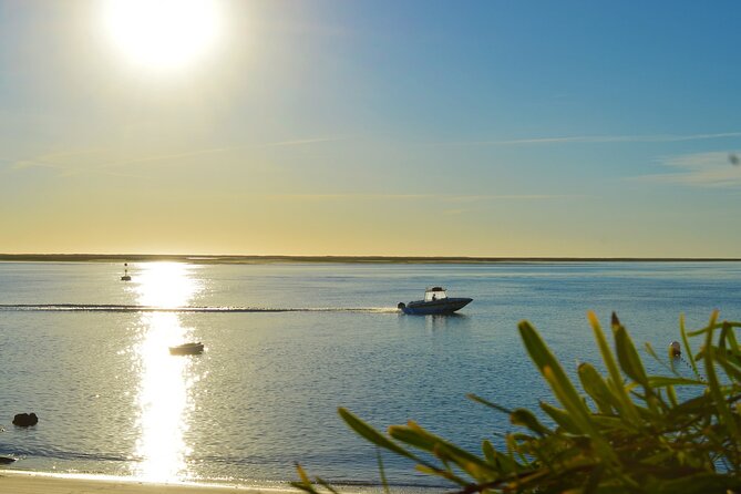 Boat Tour of 2 Ria Formosa Islands: Culatra and Armona - The real itinerary rhythm, and where timing can feel tight