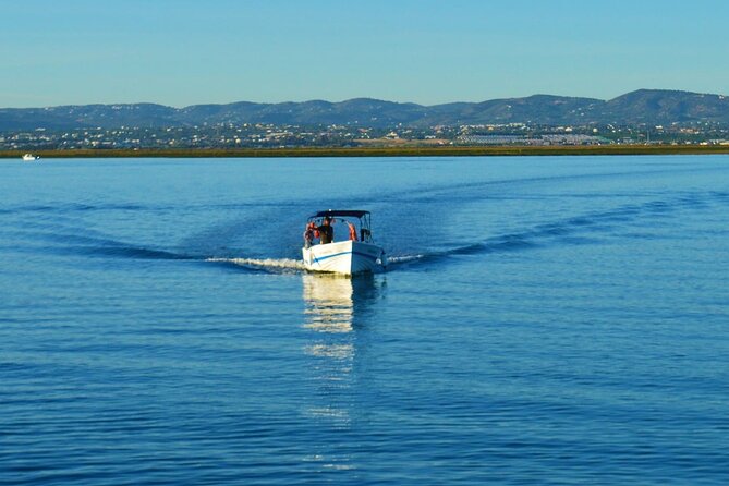 Boat Tour of 2 Ria Formosa Islands: Culatra and Armona - Price and value: $36.30 for two islands, a guide, and wildlife tools