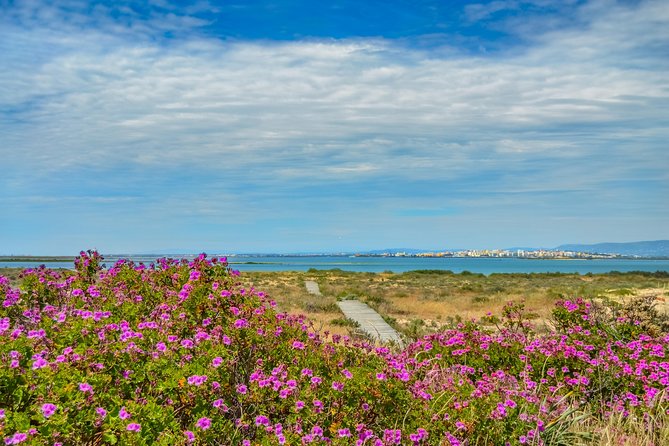 Boat trip from Faro to Ilha Deserta by Ferry - Ilha Deserta from Faro, why it works so well