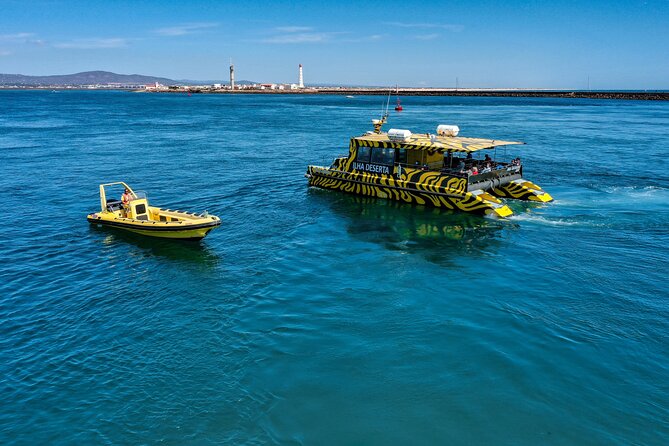 Boat trip from Faro to Ilha Deserta by Ferry - Birdwatching: spotting herons and plovers in real conditions