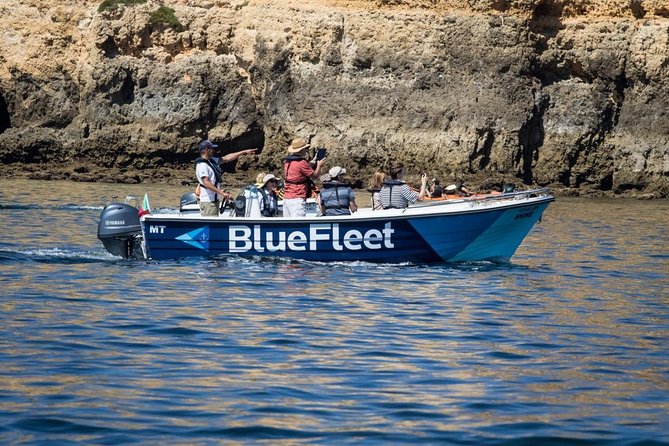 Boat Trip to Ponta da Piedade from Lagos - What the live guide adds once you are on the water