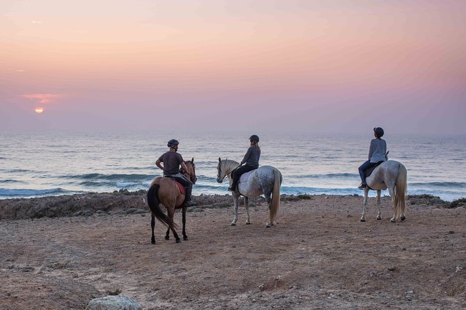 Bordeira Beach - Horse Riding Tour at Sunset - Pine trees and a quiet start: getting comfortable fast
