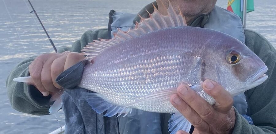 Bottom Fishing Lagos - Lagos fishing spots: cliffs, caves, and the chance of wildlife