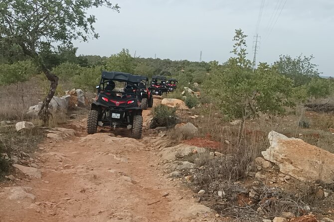 Buggy Adventure - 1.5 Hours Off-Road Guided Tour from Albufeira - Off-Road Route Highlights: Streets, Dirt Tracks, and Water Sections