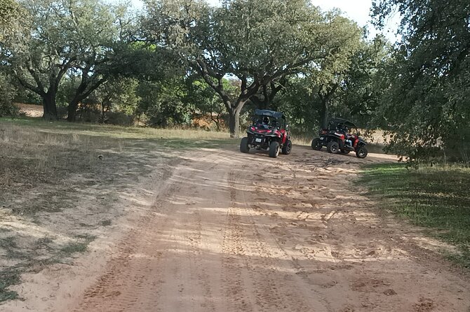 Buggy Adventure - 1.5 Hours Off-Road Guided Tour from Albufeira - Time, Timing, and What to Expect in 90 Minutes