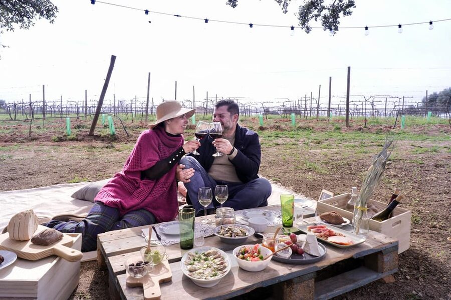 Carvoeiro, Portimão, Lagos: Algarve Romantic Vineyard Picnic - Timing, Weather, and What to Pack