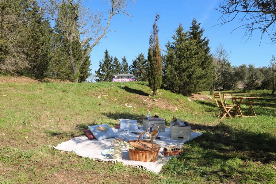 Carvoeiro, Portimão, Lagos: Algarve Romantic Vineyard Picnic - What the Reviews Got Right: Personal Service and a Guide Named Paulo