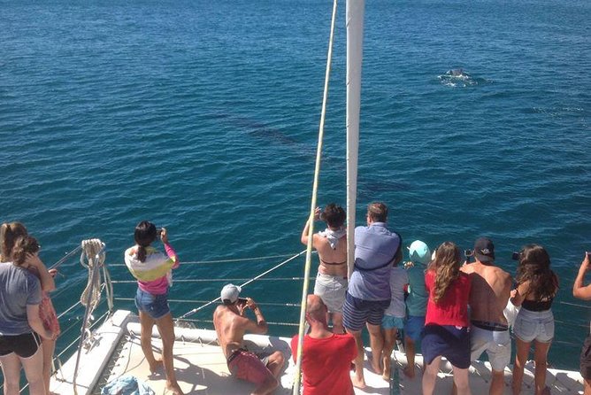 Catamaran Cruise in Lagos - What to Bring (and What Not To)