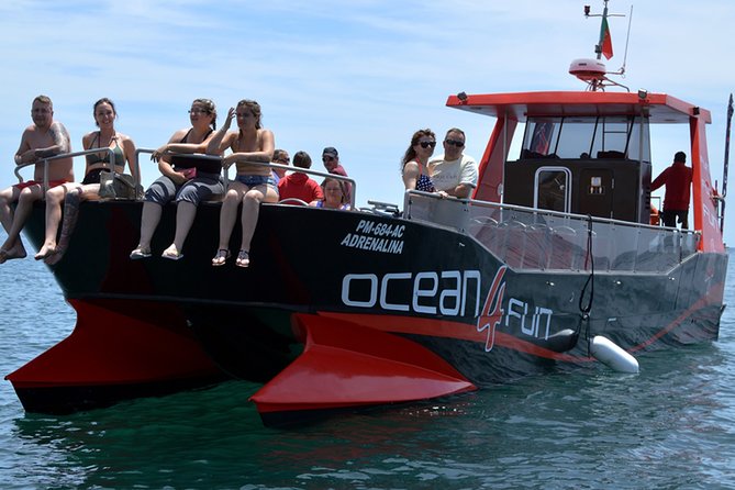 Catamaran Tour to Benagil Caves - Key Highlights You Should Know