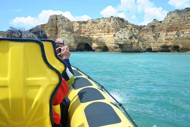 Caves and Dolphin Watching Cruise from Albufeira - How Dolphin Watching Works From the Water