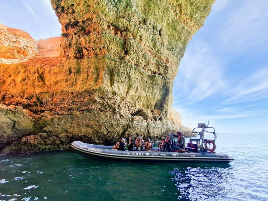 Caves & Dolphins - Combined Trip - Key Highlights You Should Know