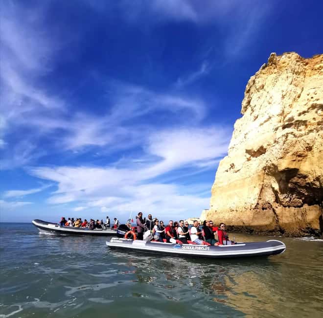 Caves & Dolphins - Combined Trip - What the Boat Trip Is Like: Small Group, Live Guide, and Two Big Moments