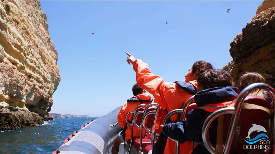 Caves & Dolphins - Combined Trip - Price and Value: What $58 Gets You (and What It Does Not)