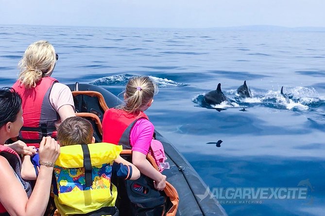 Cheapest Family Friendly Boat Trip From Vilamoura Algarve - Key highlights to know before you go
