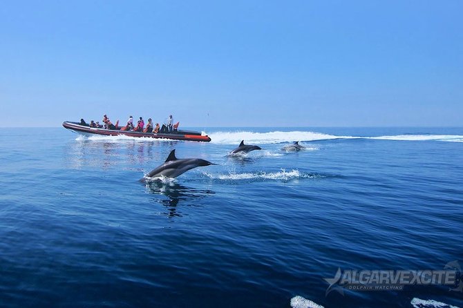 Cheapest Family Friendly Boat Trip From Vilamoura Algarve - Vilamoura boat trip basics: what this experience actually is