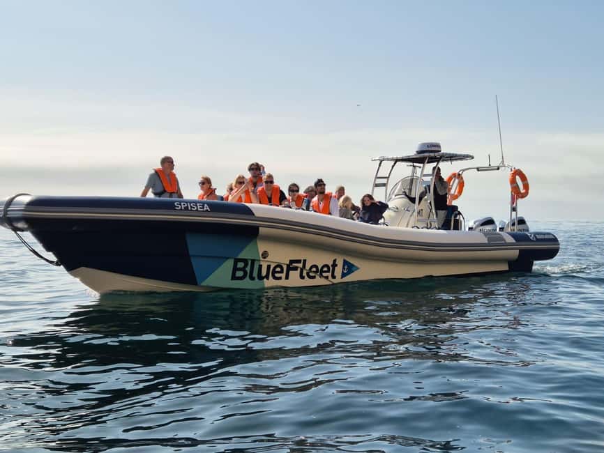 Combo: Benagil & Dolphins Boat Tour w/ Marine Biologists - Practical booking and day-of tips for a smooth Lagos outing