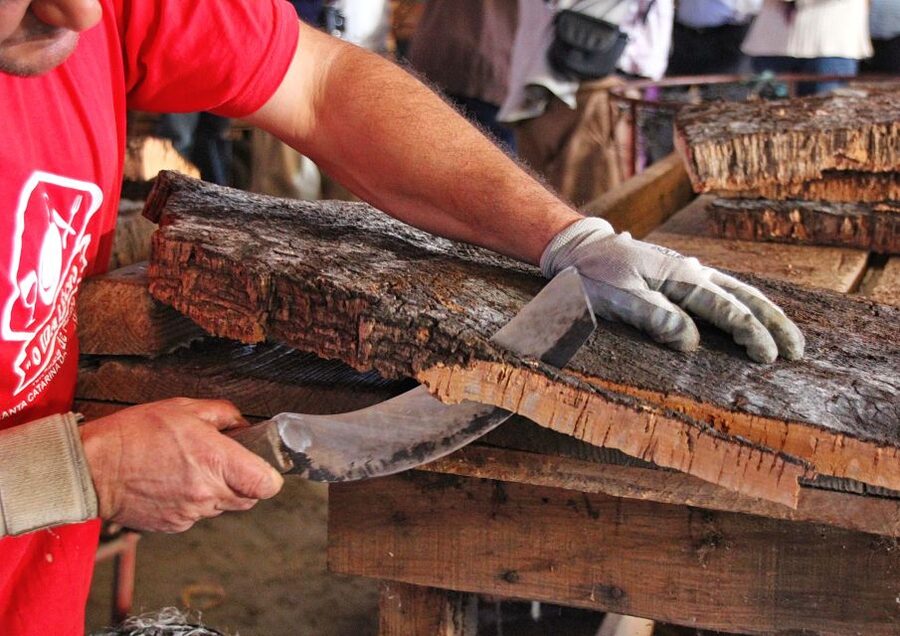 Cork Factory Tour - Cork Oak Country: What You Learn in 50 Minutes
