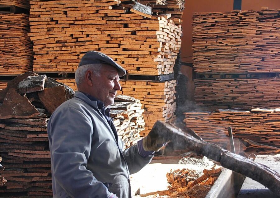 Cork Factory Tour - Getting to Eco-Cork Factory Without Wasting Time