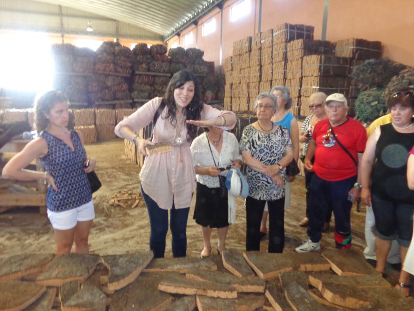 Cork Factory Tour - Who This Tour Fits Best (And Who Might Want Something Else)