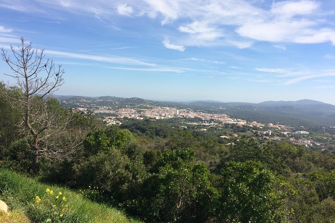 Cork Secrets - Key things to know before you go