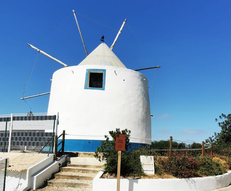 Discover Secrets of the Algarve Countryside By Tuk-Tuk - Baltazar the donkey and Moinho do Leitão windmill stop