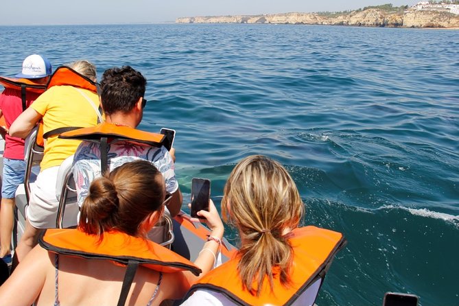 Dolphin and Whale Watching in Lagos - How the Guide Searches for Cetaceans Off Lagos