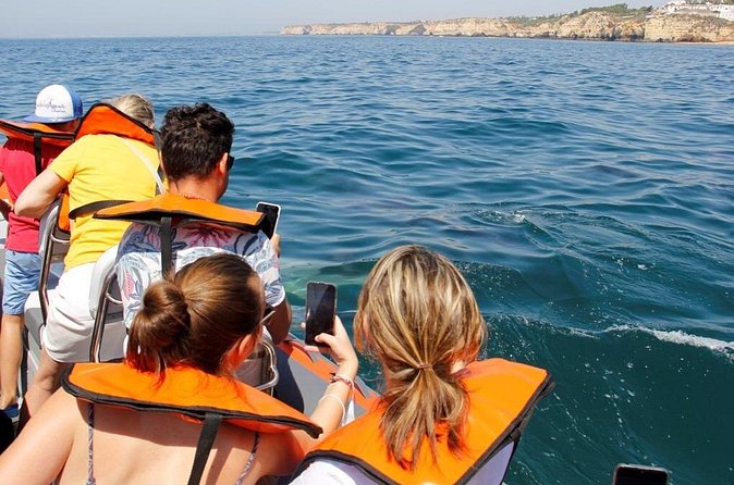 Dolphin and Whale Watching in Lagos - What You Can See: Dolphins, Porpoises, and Risso’s
