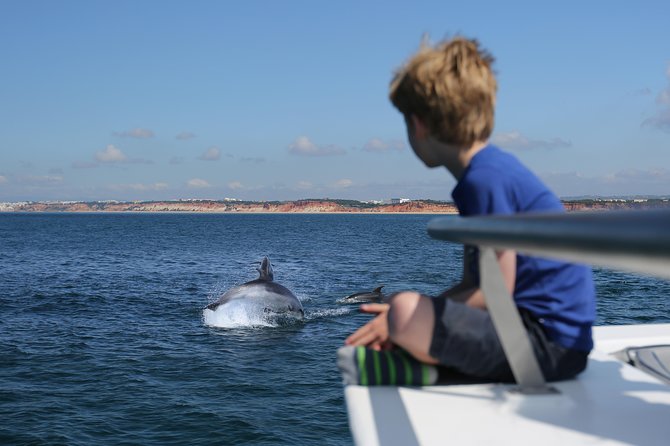 Dolphin Quest & Marine Life Search - Key highlights worth your attention