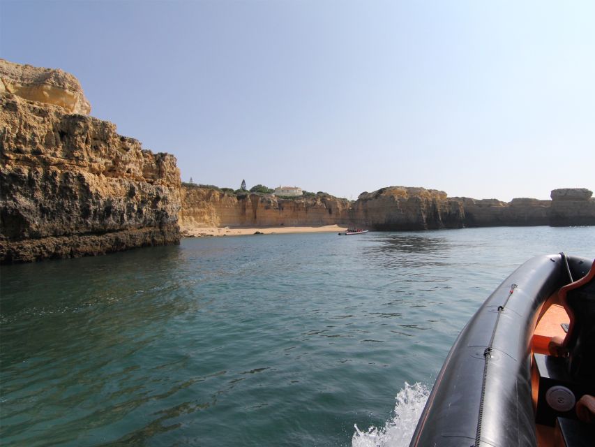 Dolphin Safari and Cave Tour in Vilamoura - Vilamoura Marina, dolphins first, caves second