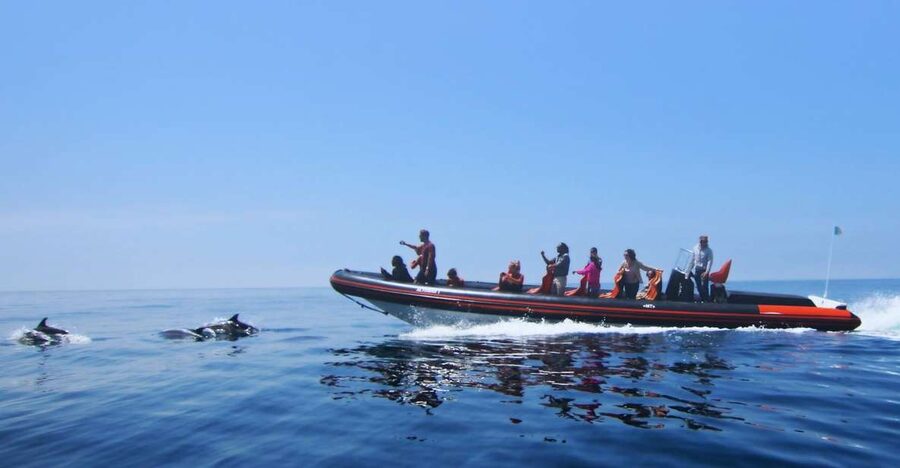Dolphin Safari and Cave Tour in Vilamoura - Caves and rock formations near Benagil: the payoff for the landlubbers